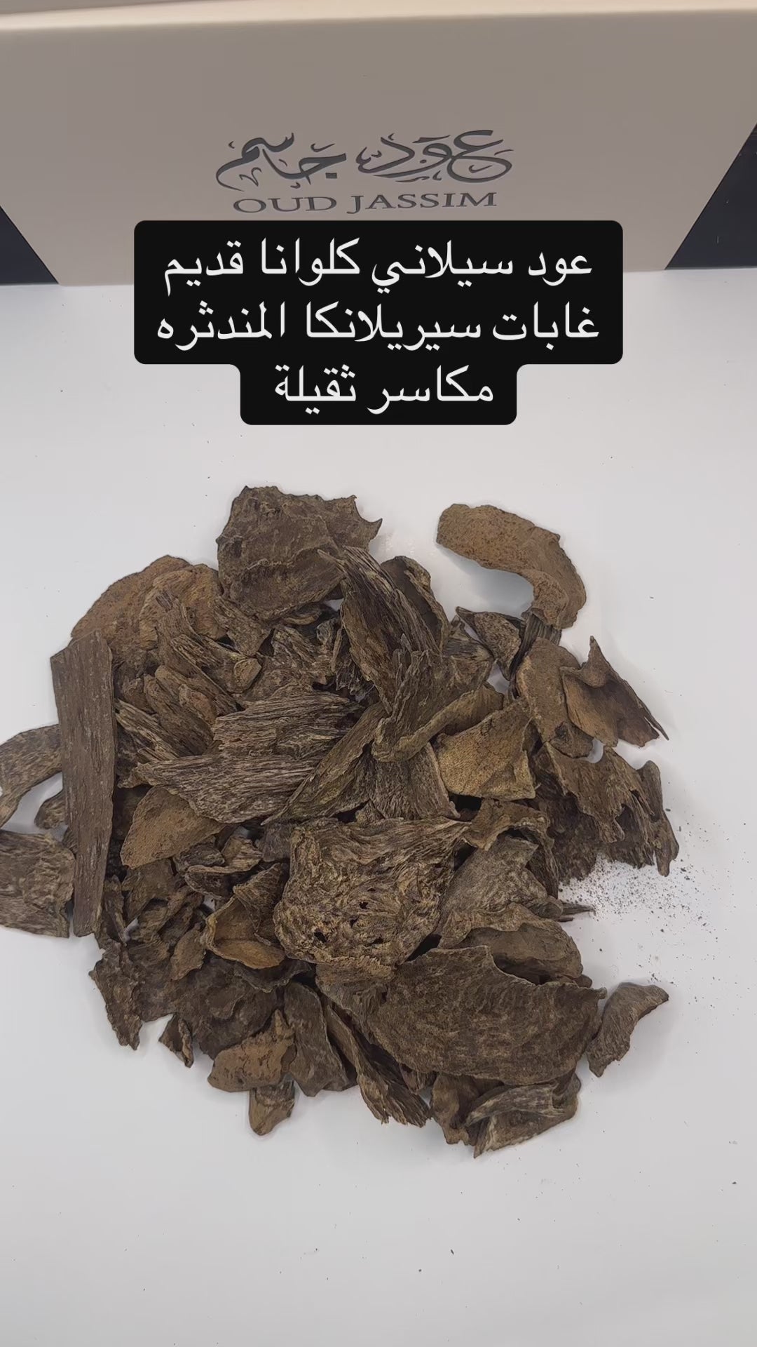 سيلاني كلوانا (نوادر) كمية محدودة