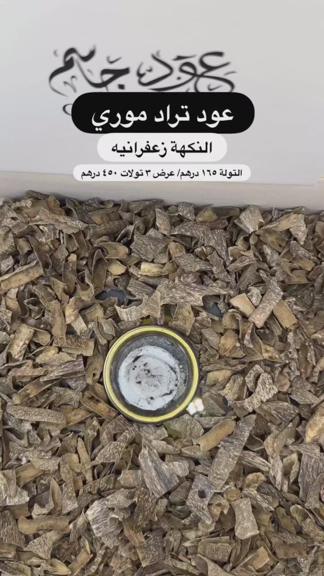 تراد موري  (عروض الصيف)