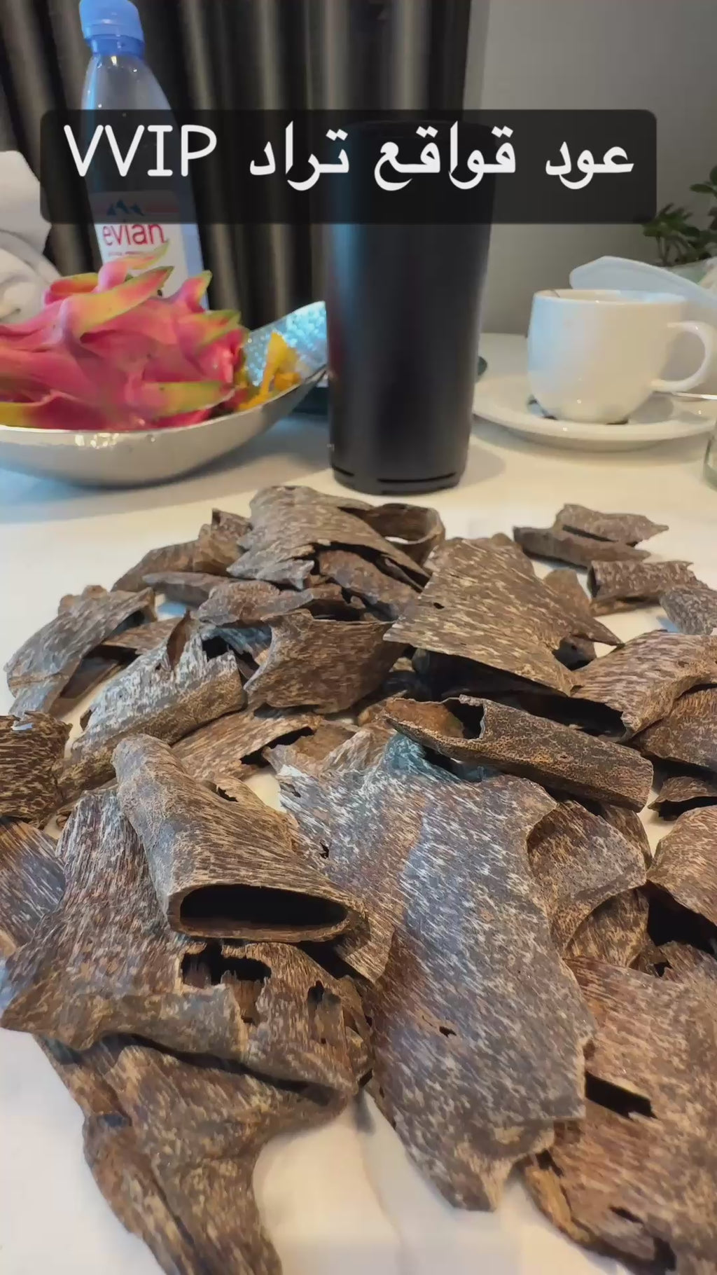 تراد قواقع ملكي  (عروض الصيف)