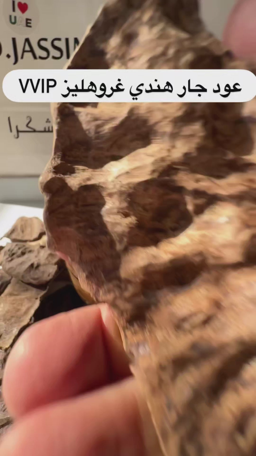 جار هندي ملكي (عروض الصيف)