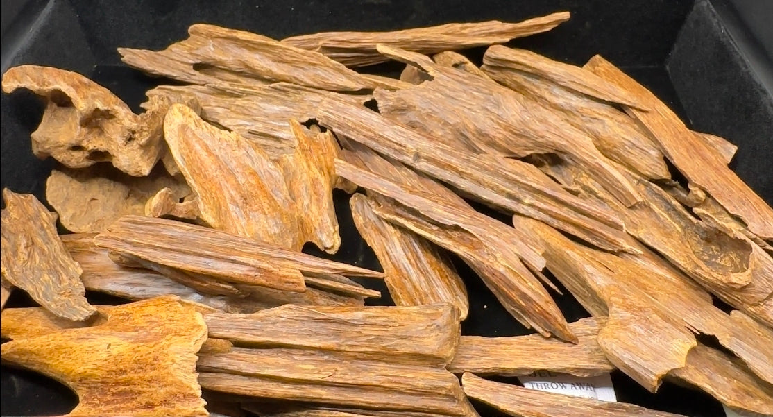 كمبودي ملكي قديم (نوادر النوادر) البيع لكامل الكمية
